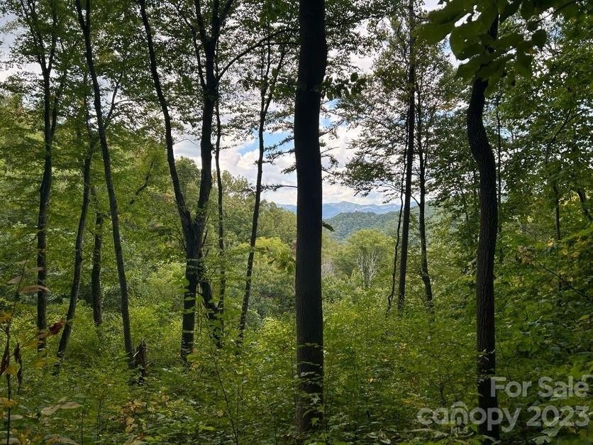 1552 Seven Glens Drive, Weaverville, NC 28787 MLS 4076757 Land and