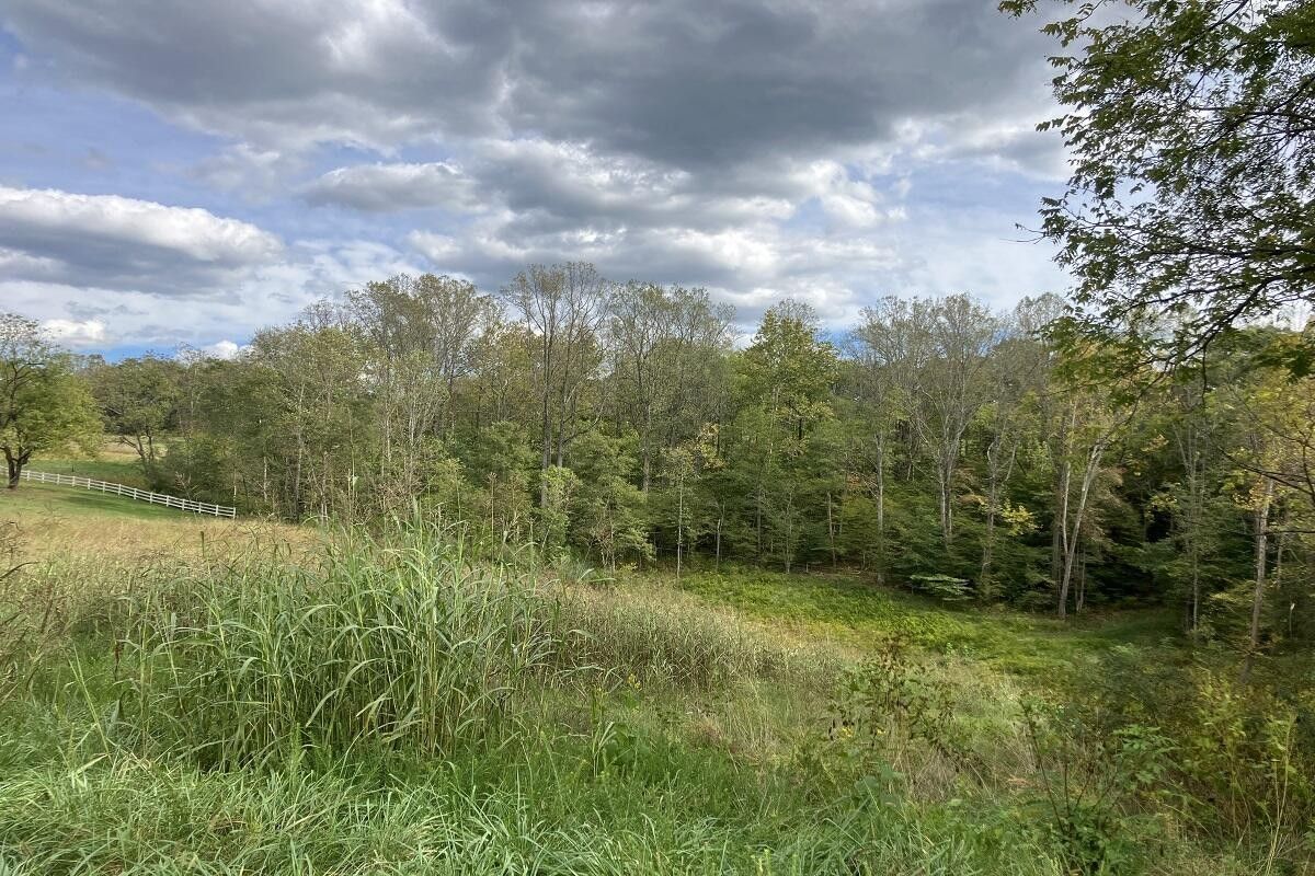 1.37 Acres, Lot 27 Plybon LN, Wirtz, VA 24184 Land and Farm