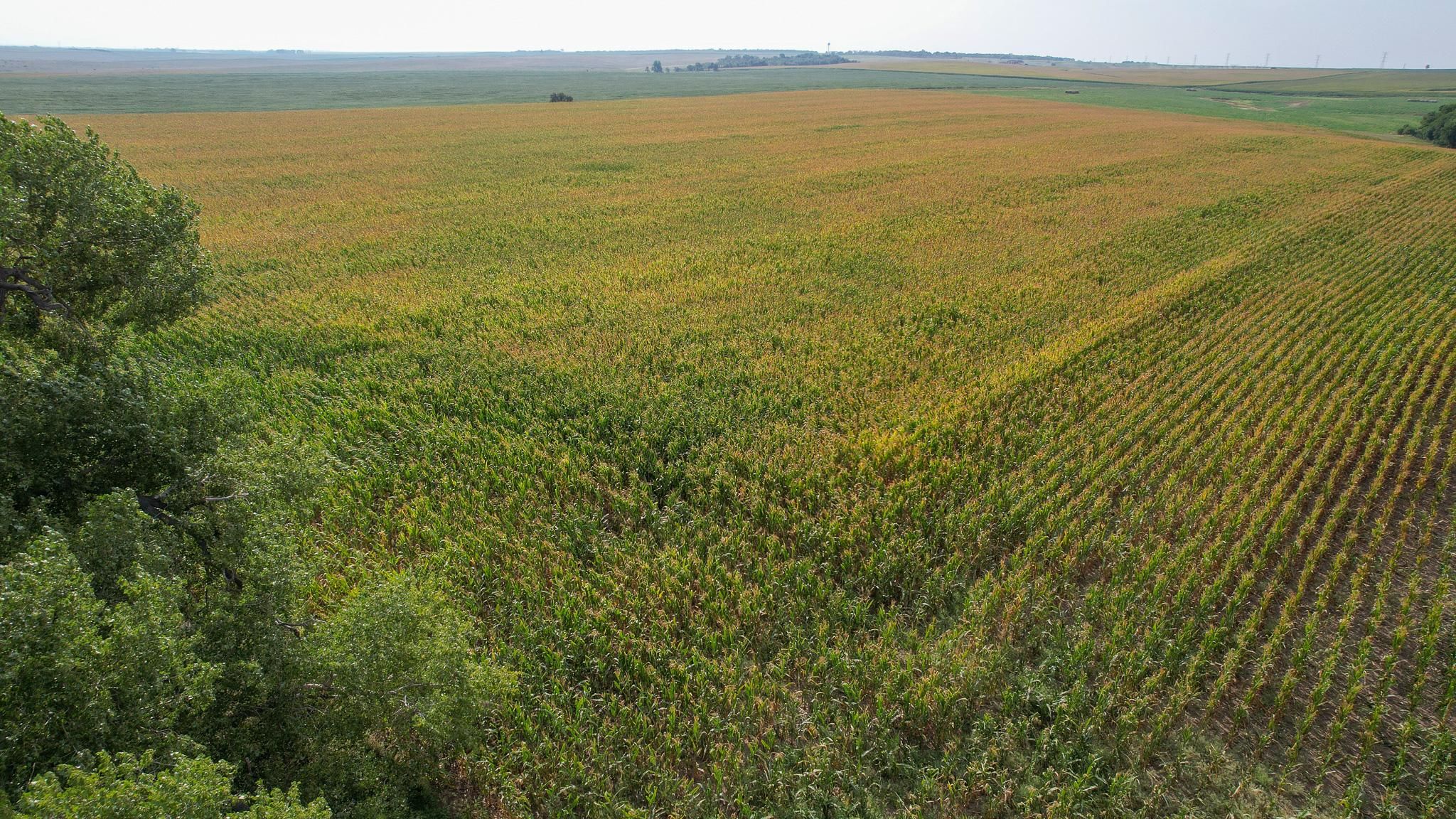 270 acres in Pukwana, SD, 57370 Land and Farm