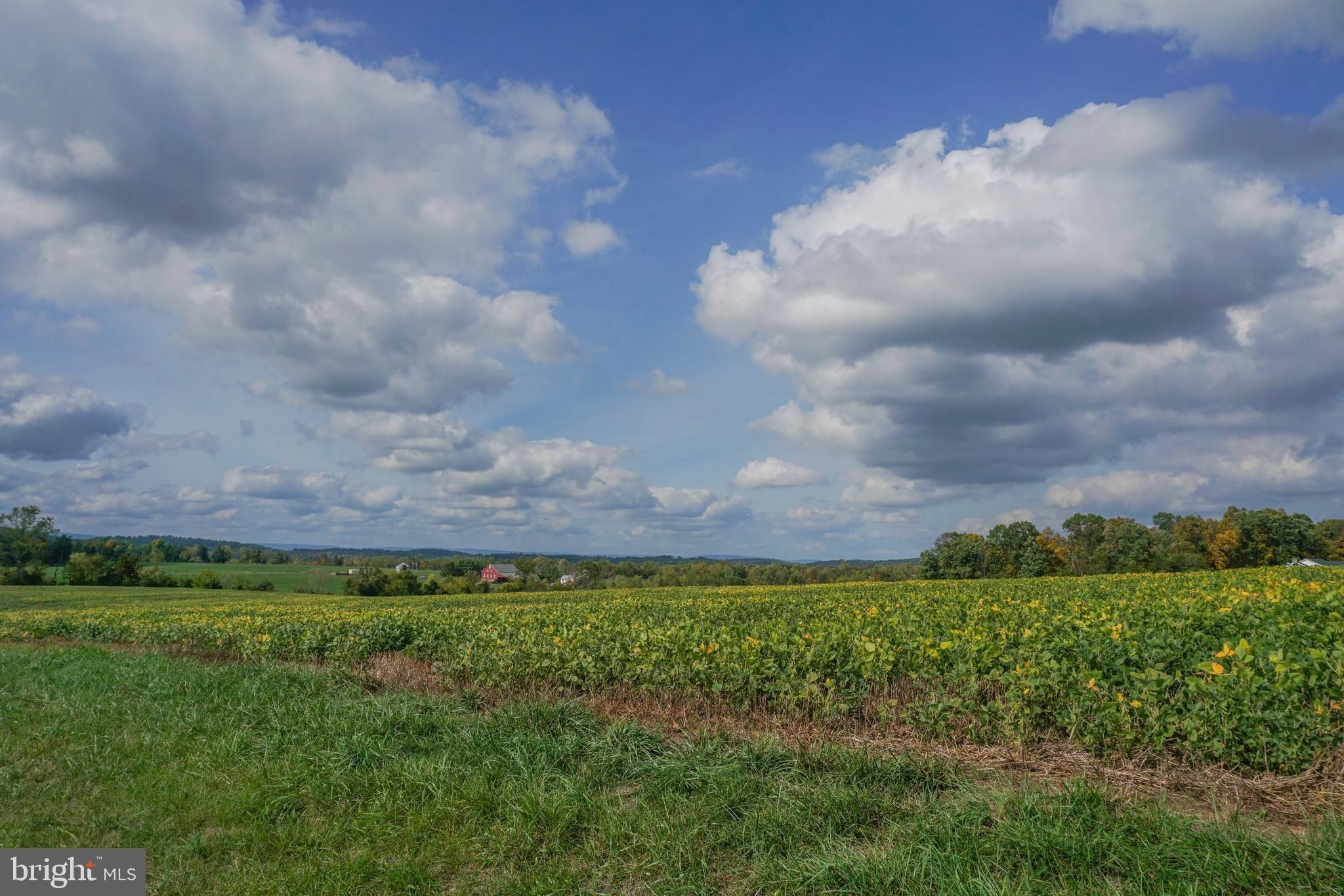 36.95 Acres, 0 WHITE CHURCH ROAD, Gettysburg, PA 17325 Land and Farm