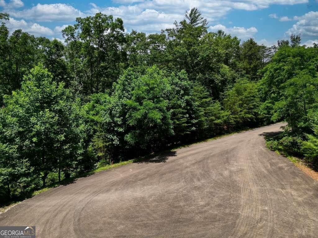 3.02 Acres, 5566 Red Fox Lane, Jasper, GA 30143 Land and Farm