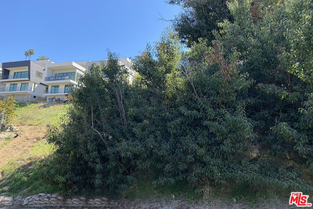 0.12 Acres, 1542 N Parmer Ave, Los Angeles, CA 90026 Land and Farm