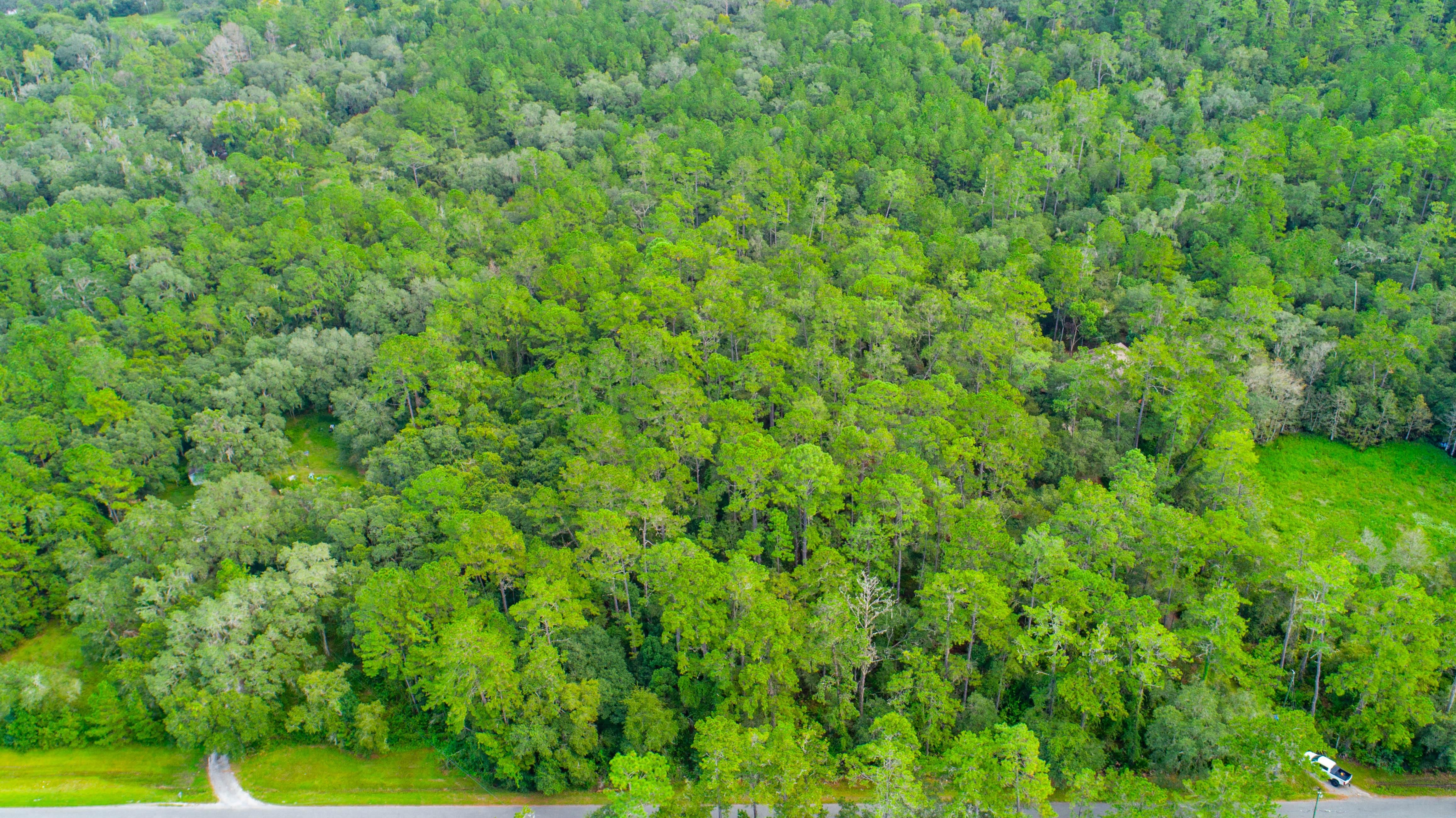 Culbreath Road, Brooksville, FL 34601 Land and Farm