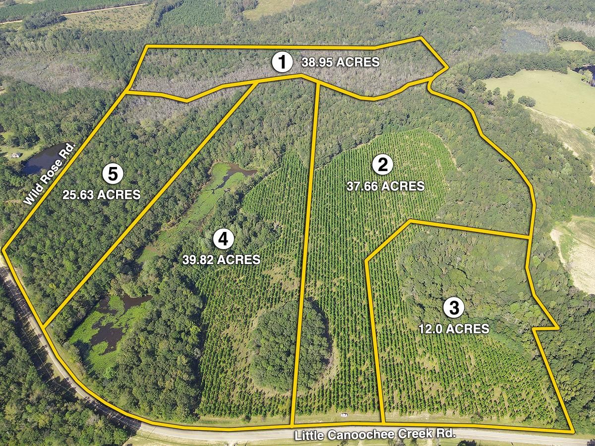 153 Acres, Little Canoochee Creek Road, Swainsboro, GA 30471 Land and