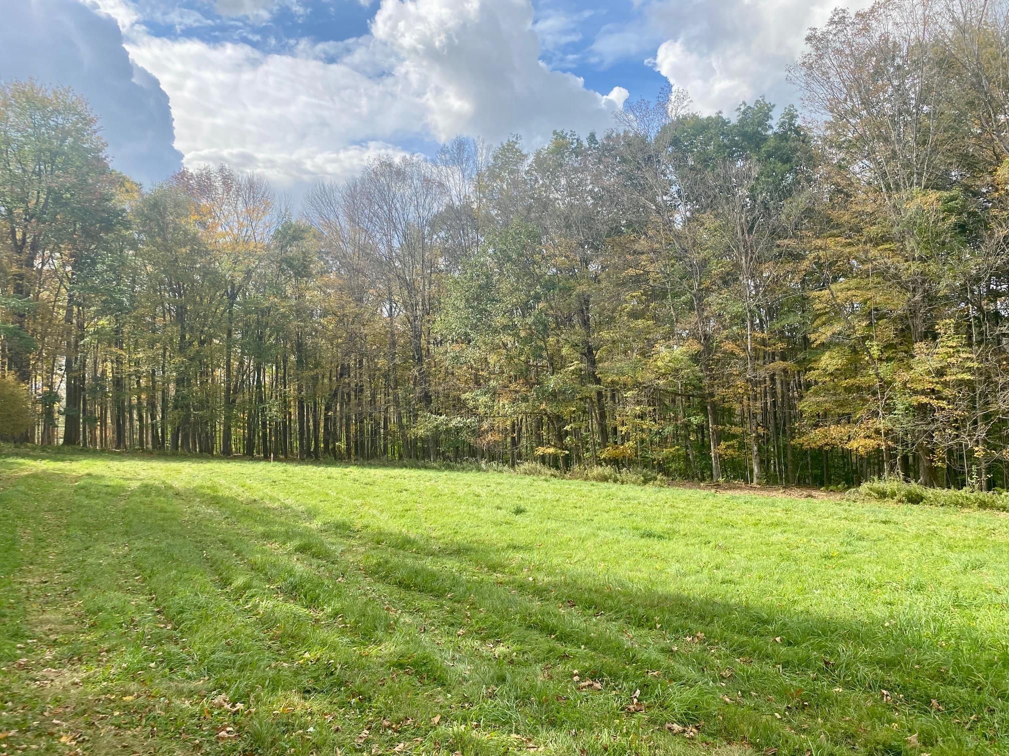 5 acres in Pittsfield, MA, 01201 Land and Farm