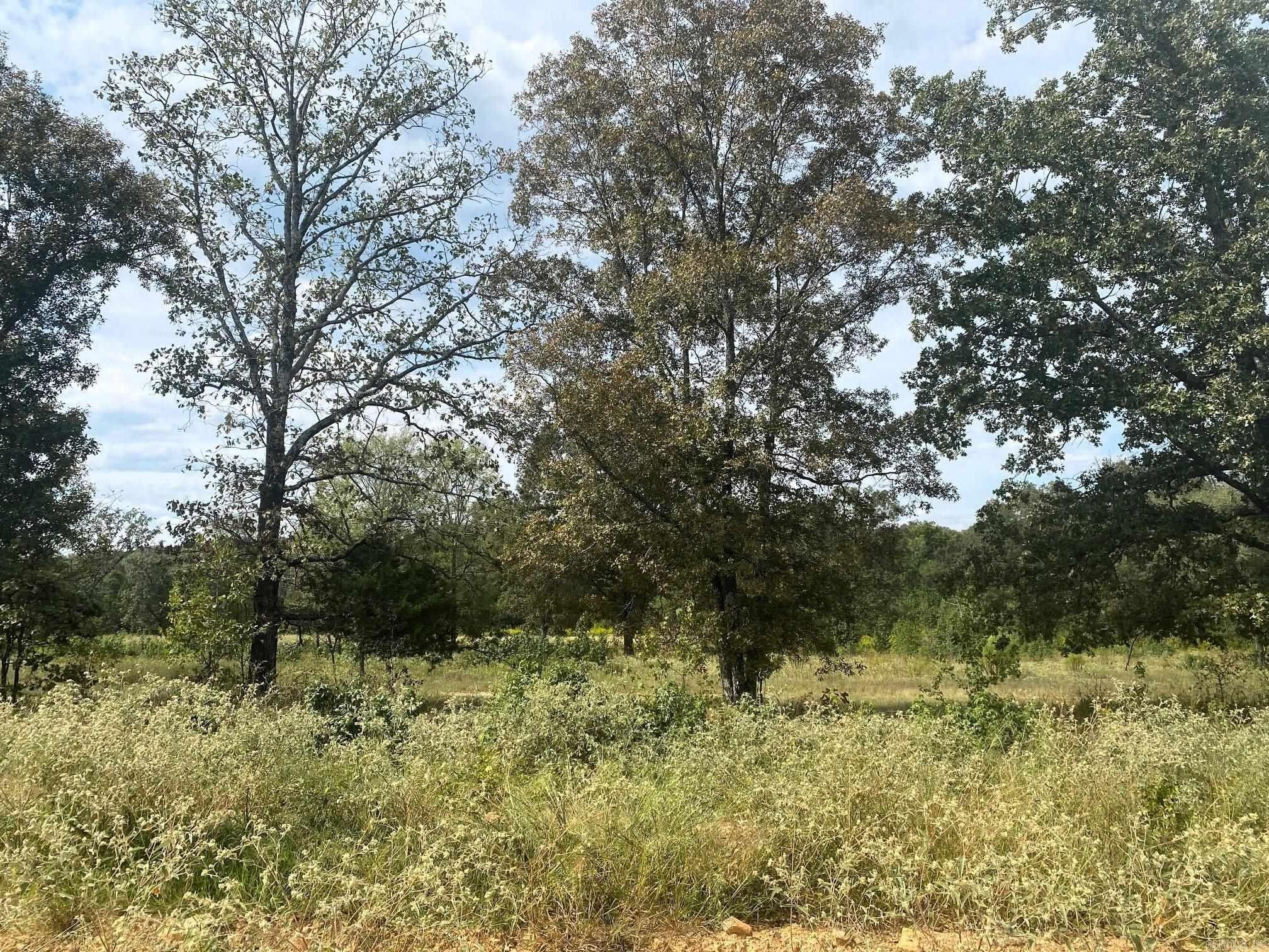 3.58 Acres, Tract 5 Artesia Lane, Beebe, AR 72012 Land and Farm