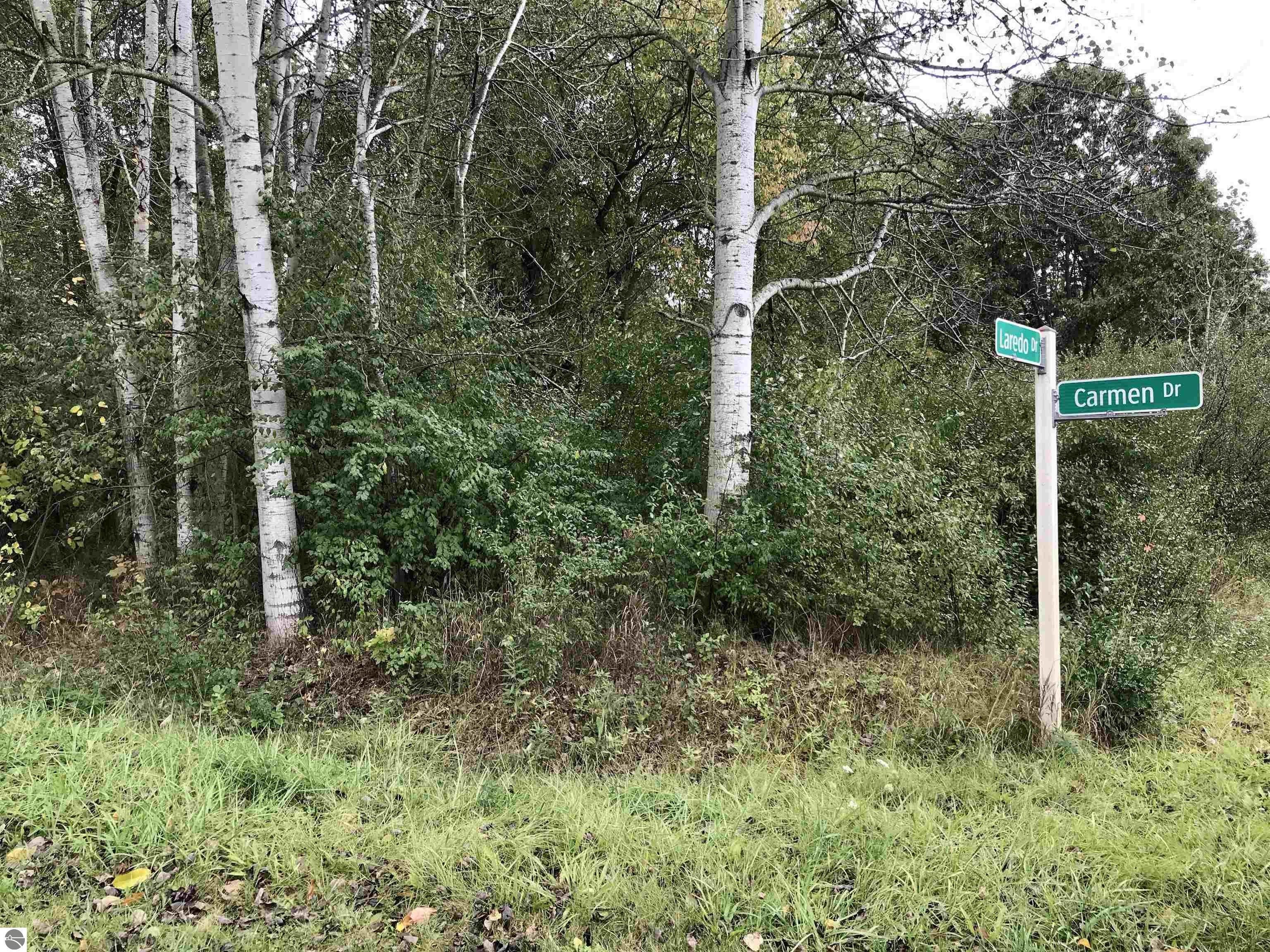 0.28 Acres, 1098 Carmen Drive, Lake Isabella, MI 48893 Land and Farm