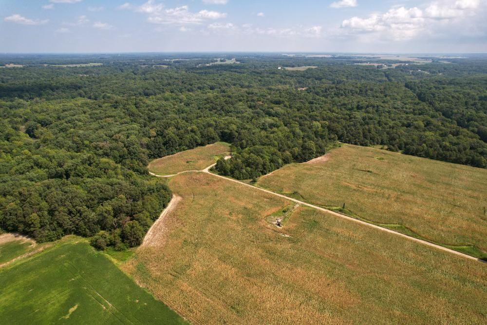 80 Acres, 000 2250th Street, Saint Elmo, IL 62458 Land and Farm