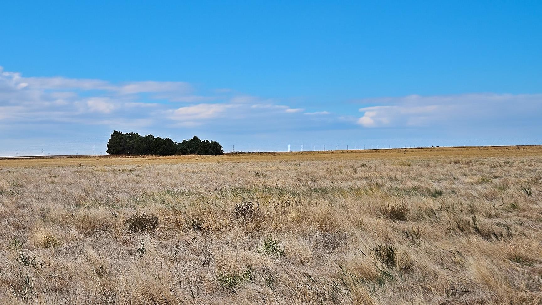 310 Acres, Yuma, CO 80759 Land and Farm