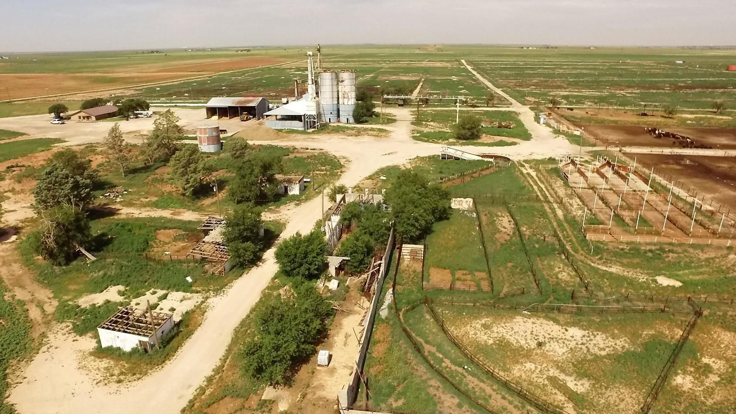 1,036.3 acres in Morton, TX, 79346 Land and Farm