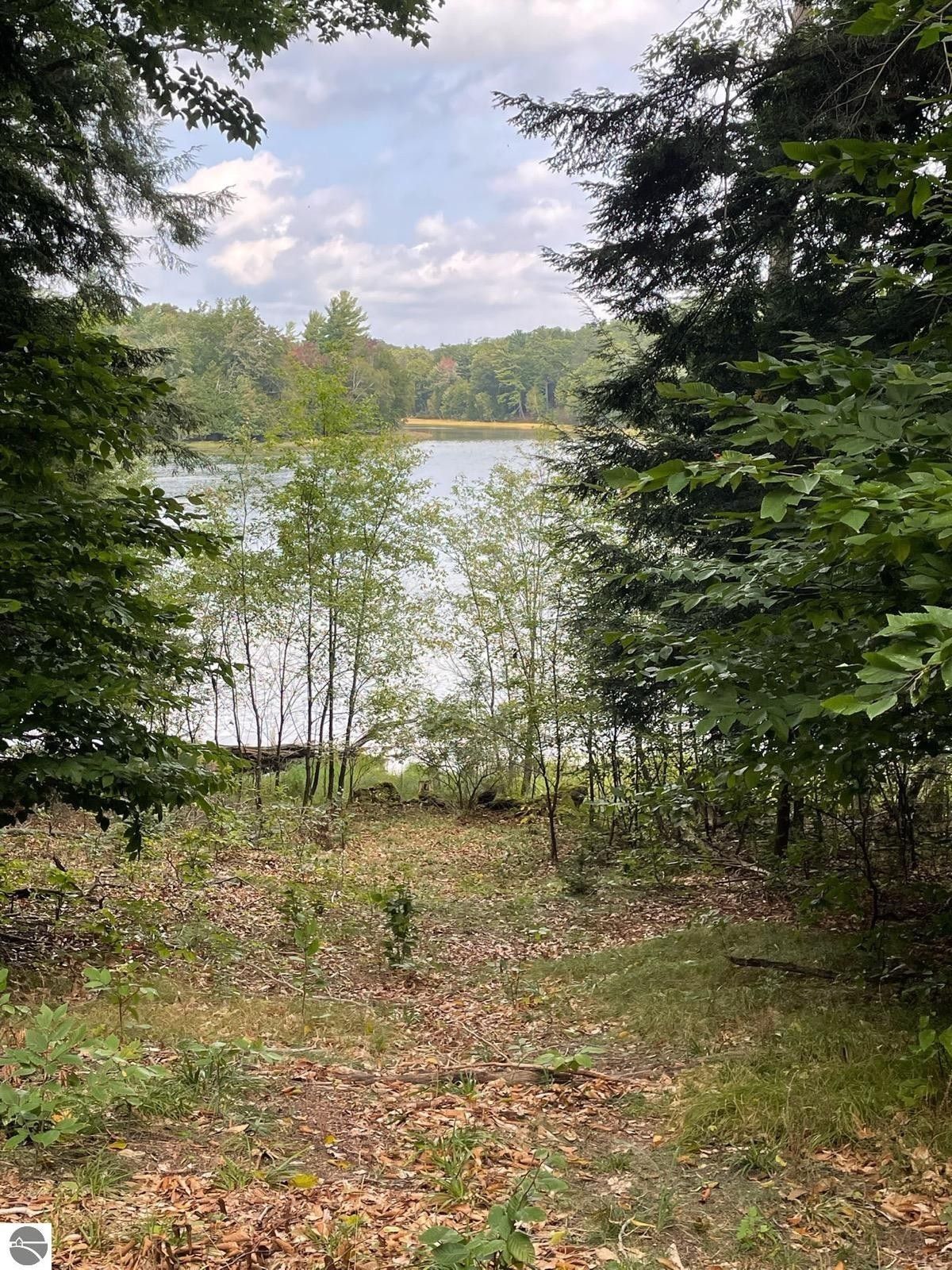 1.1 Acres, 00 Truax Lake Road, Williamsburg, MI 49690 Land and Farm
