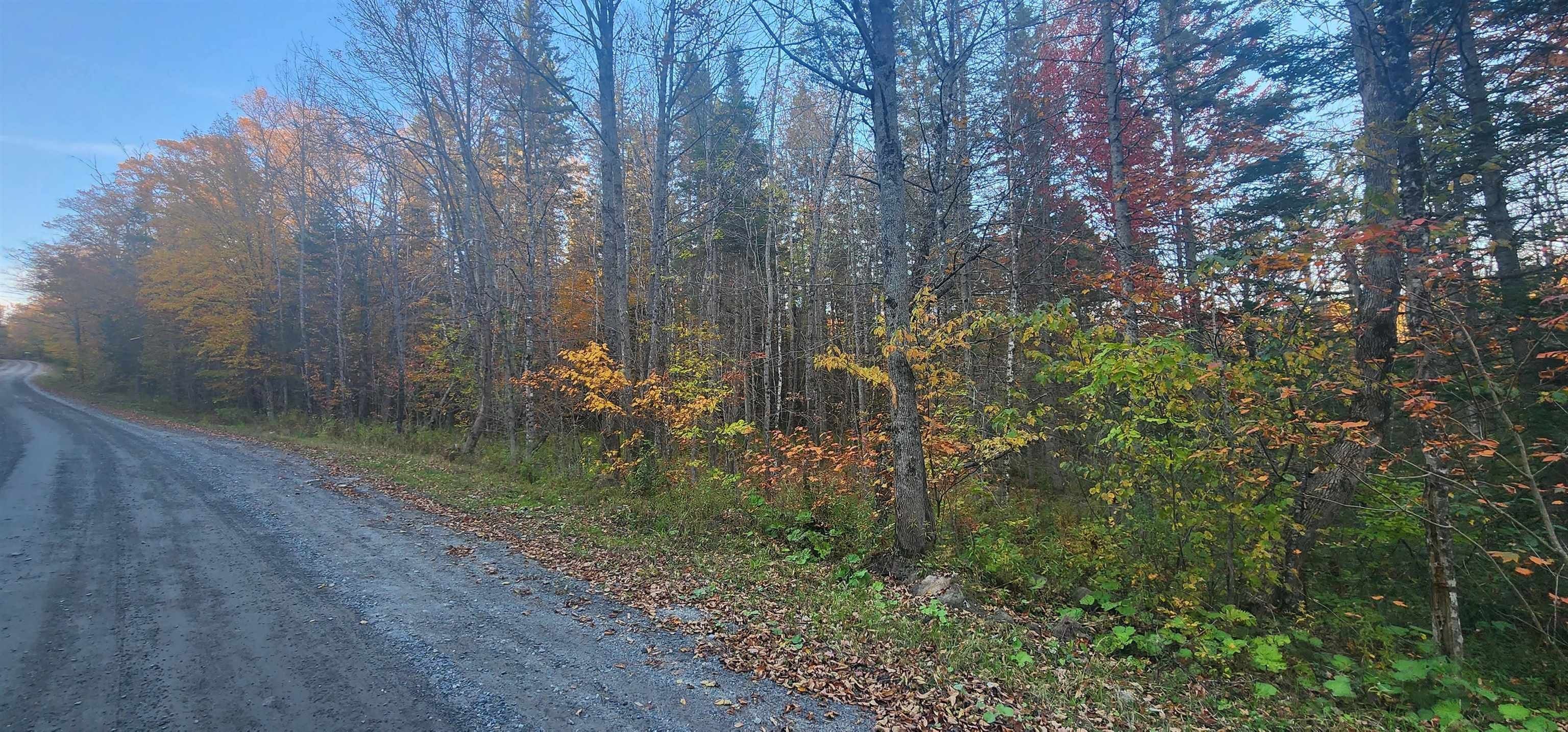 14 Acres, C Riddel Pond Road, Orange, VT 05641 Land and Farm