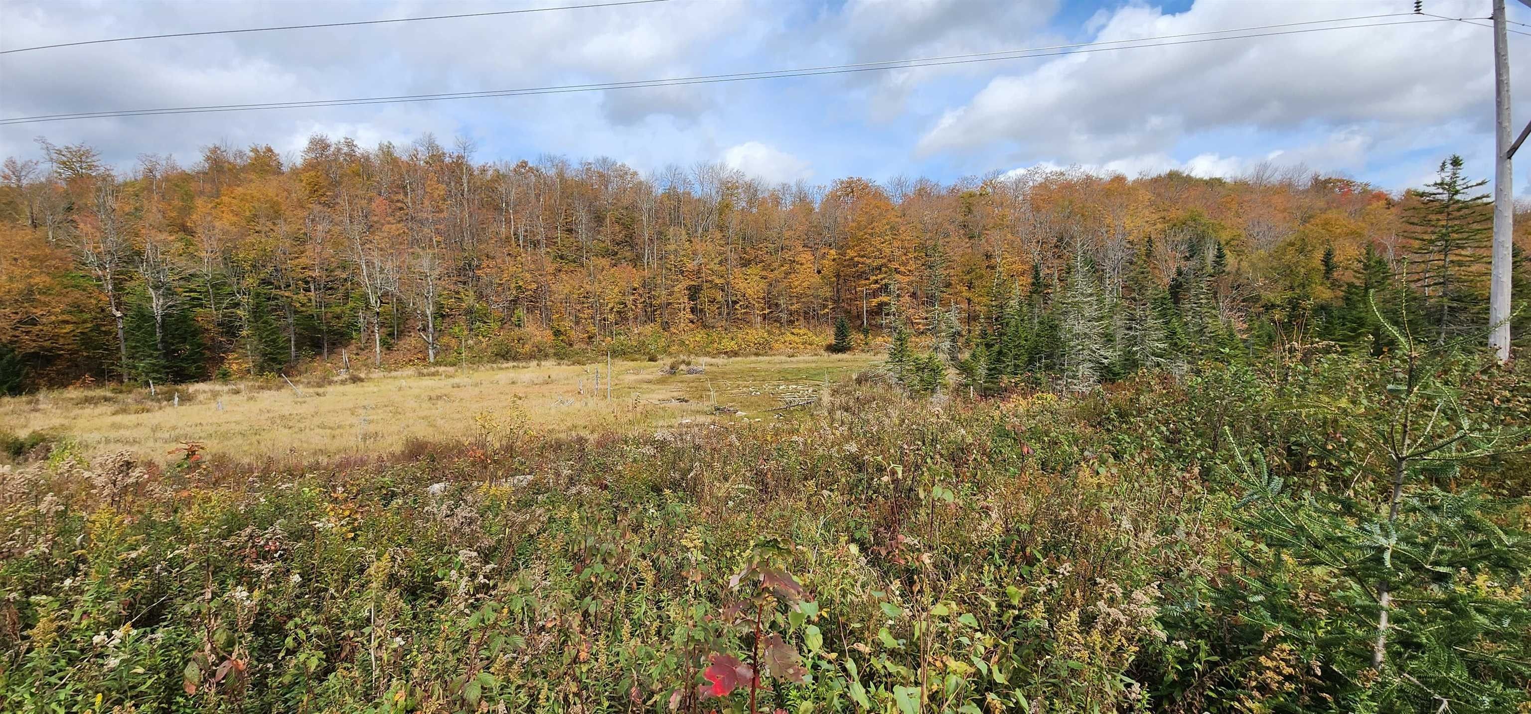 610 Acres, 0 Riddel Pond Road, Orange, VT 05641 Land and Farm