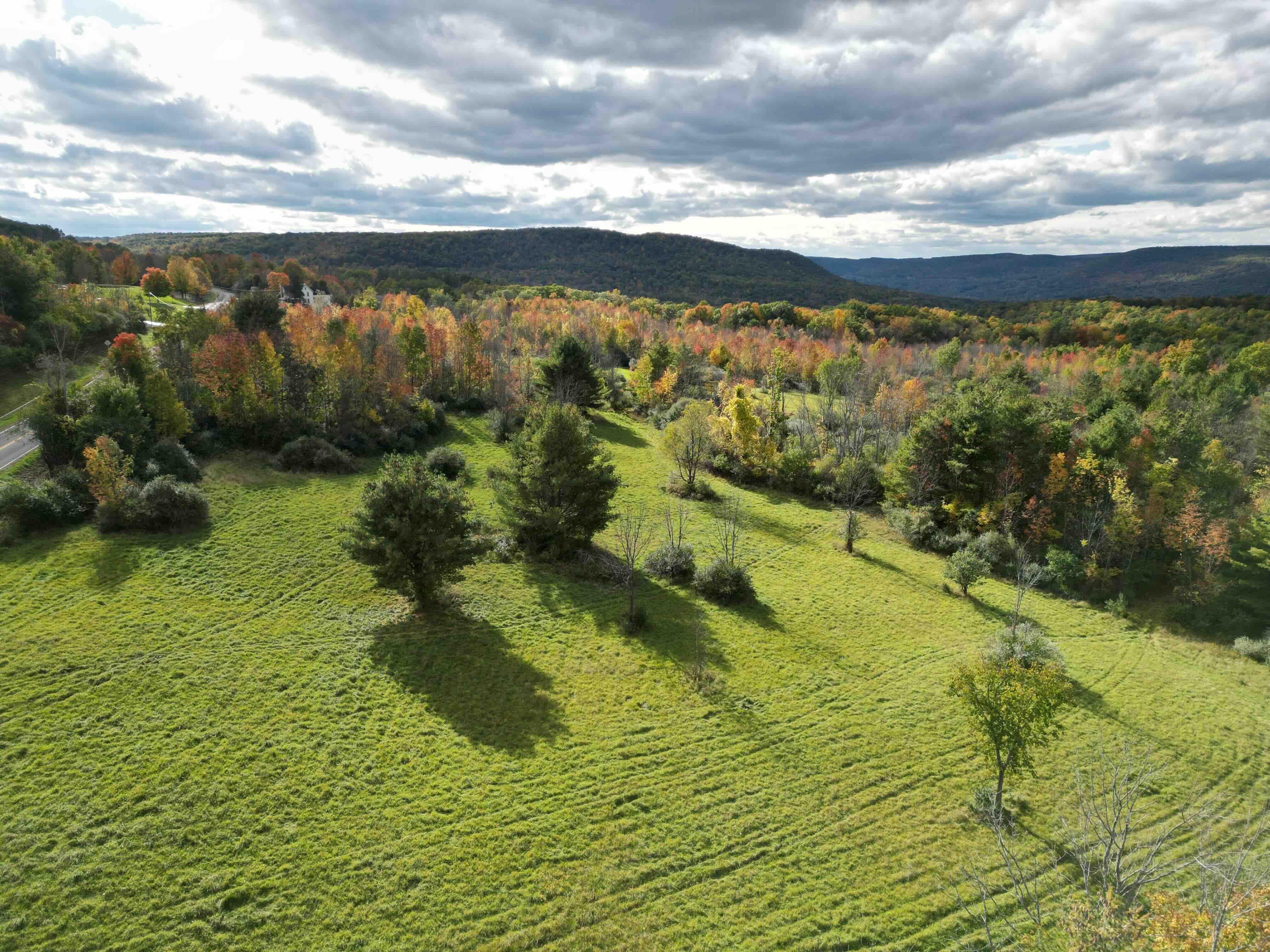 County Road 113, Hammondsport, NY 14840 Land and Farm