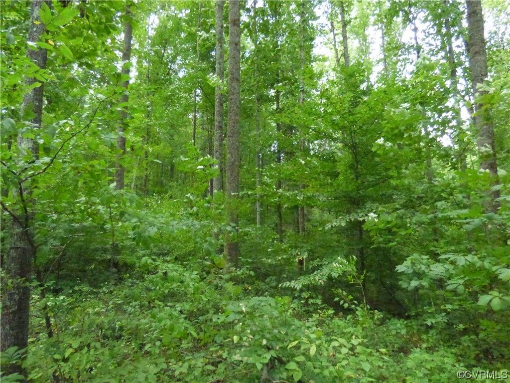 13.47 Acres, 02 Petersburg Road, Powhatan, VA 23139 Land and Farm