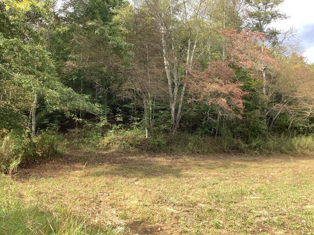 280 Acres, 10388 KY 1304, Barbourville, KY 40906 Land and Farm