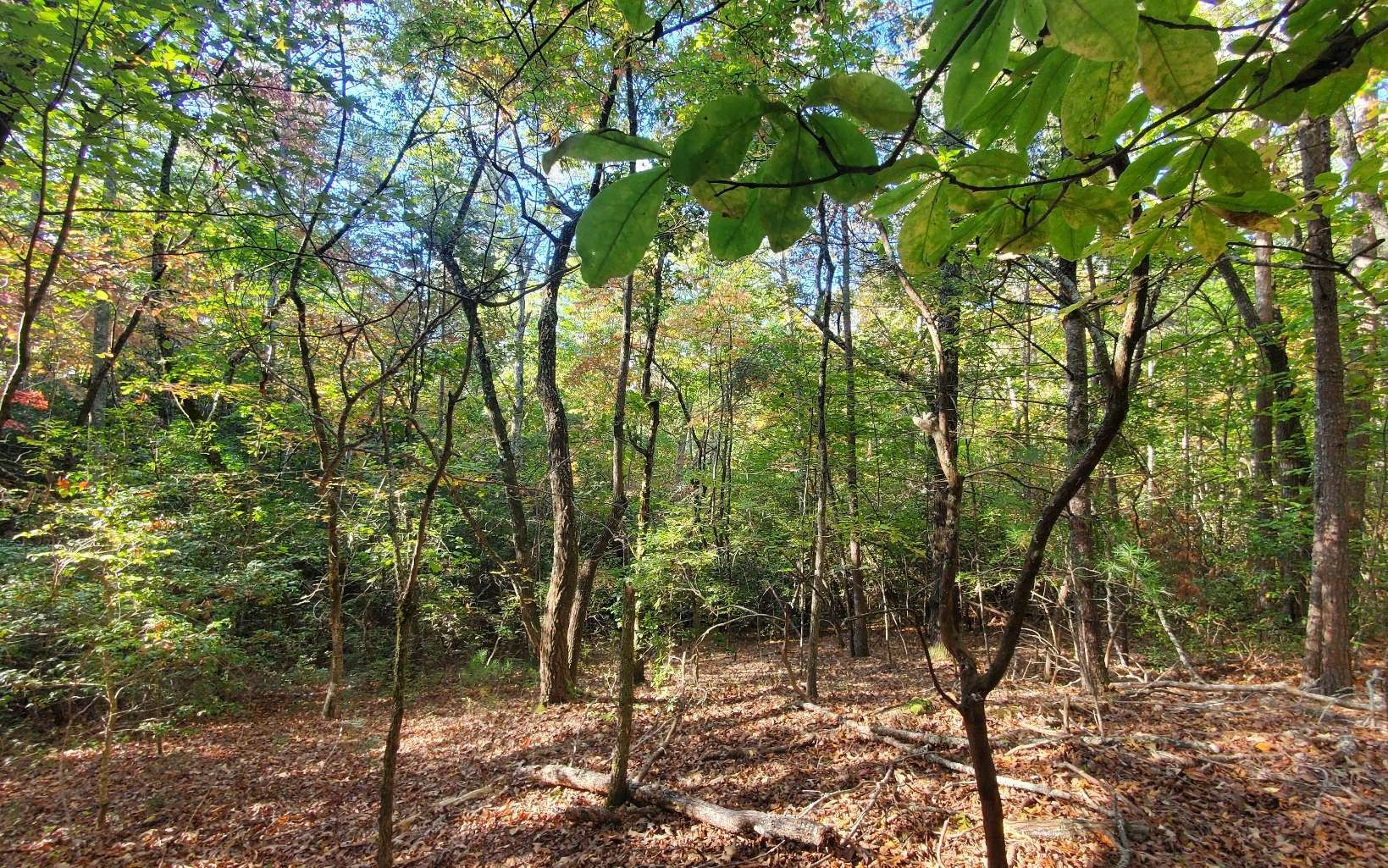 3 Acres, LOT 4 SQUIRREL HUNTING, Ellijay, GA 30536 Land and Farm