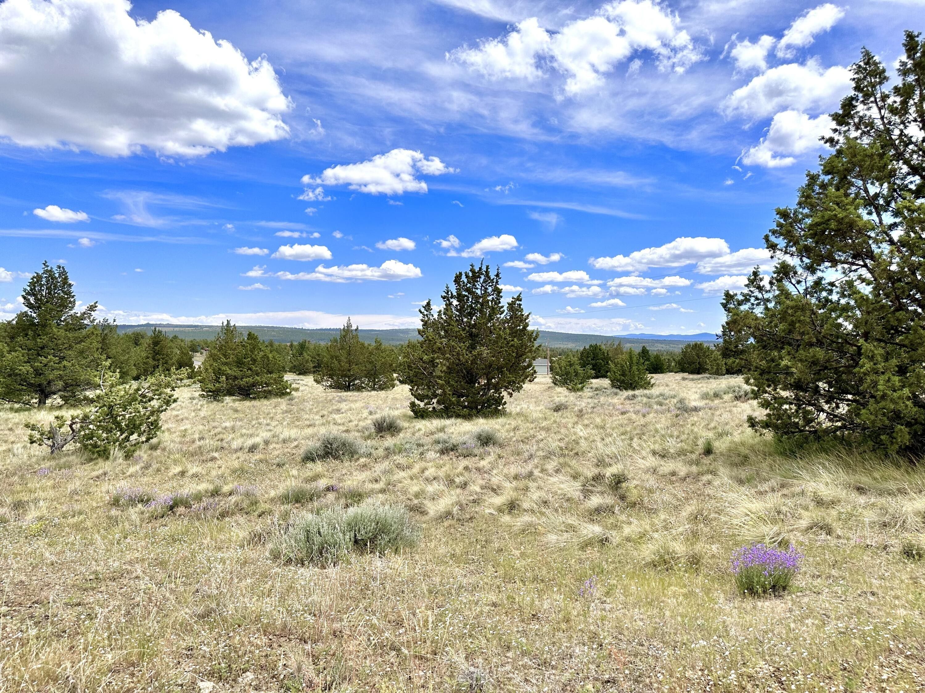 20 Acres, 6751 Iowa Road, Prineville, OR 97754 Land and Farm