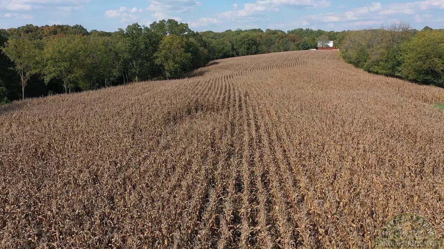 County Road 5, Steeleville, IL 62288 Land and Farm