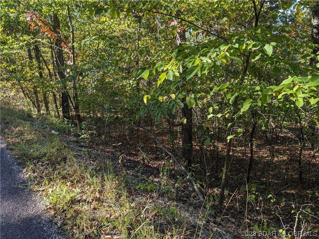 4.9 Acres, 4.9 Tbd Blue Water Road, Versailles, MO 65084 Land and Farm