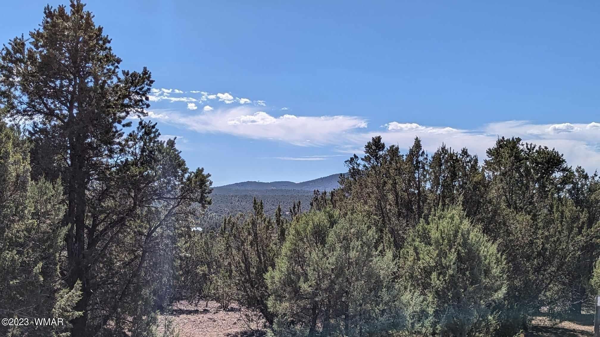 5 Acres, TBDB ACR 3076, Vernon, AZ 85940 Land and Farm