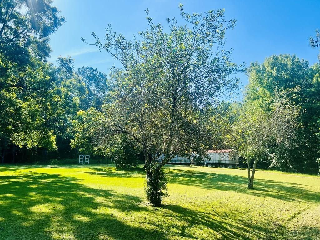 10 Acres, 589 Old Calhoun Falls Rd, Abbeville, SC 29620 Land and Farm