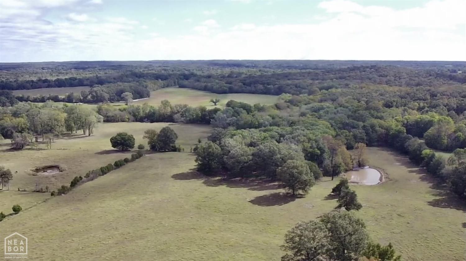 47 Acres, 726 Highway 117, Smithville, AR 72466 Land and Farm