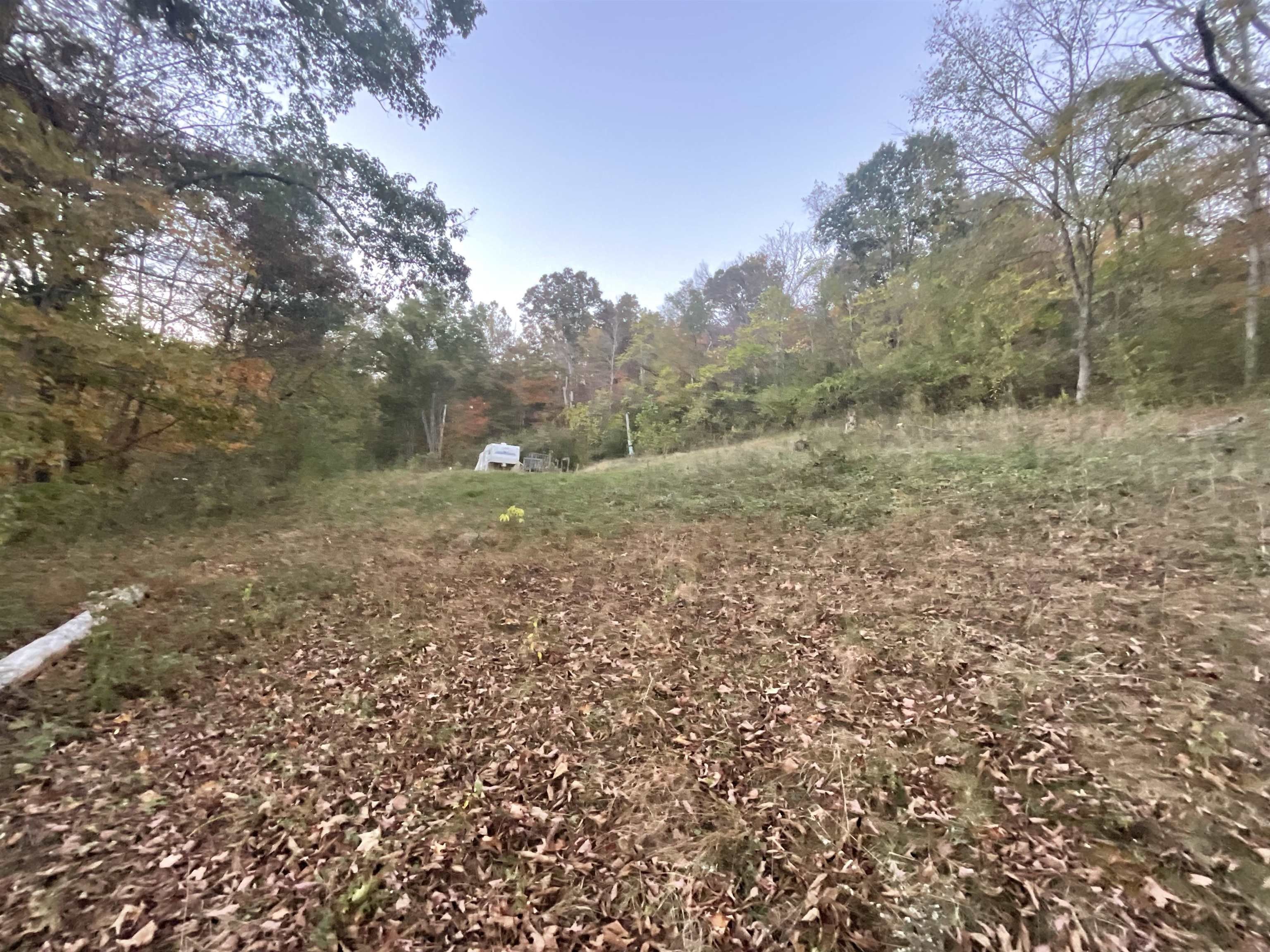 7.77 Acres, 2008 State Rt 775, Proctorville, OH 45669 Land and Farm