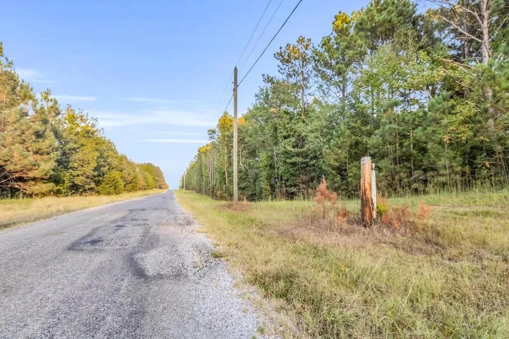 6.7 Acres, Mac Pate Road, Cedar Bluff, MS 39741 Land and Farm