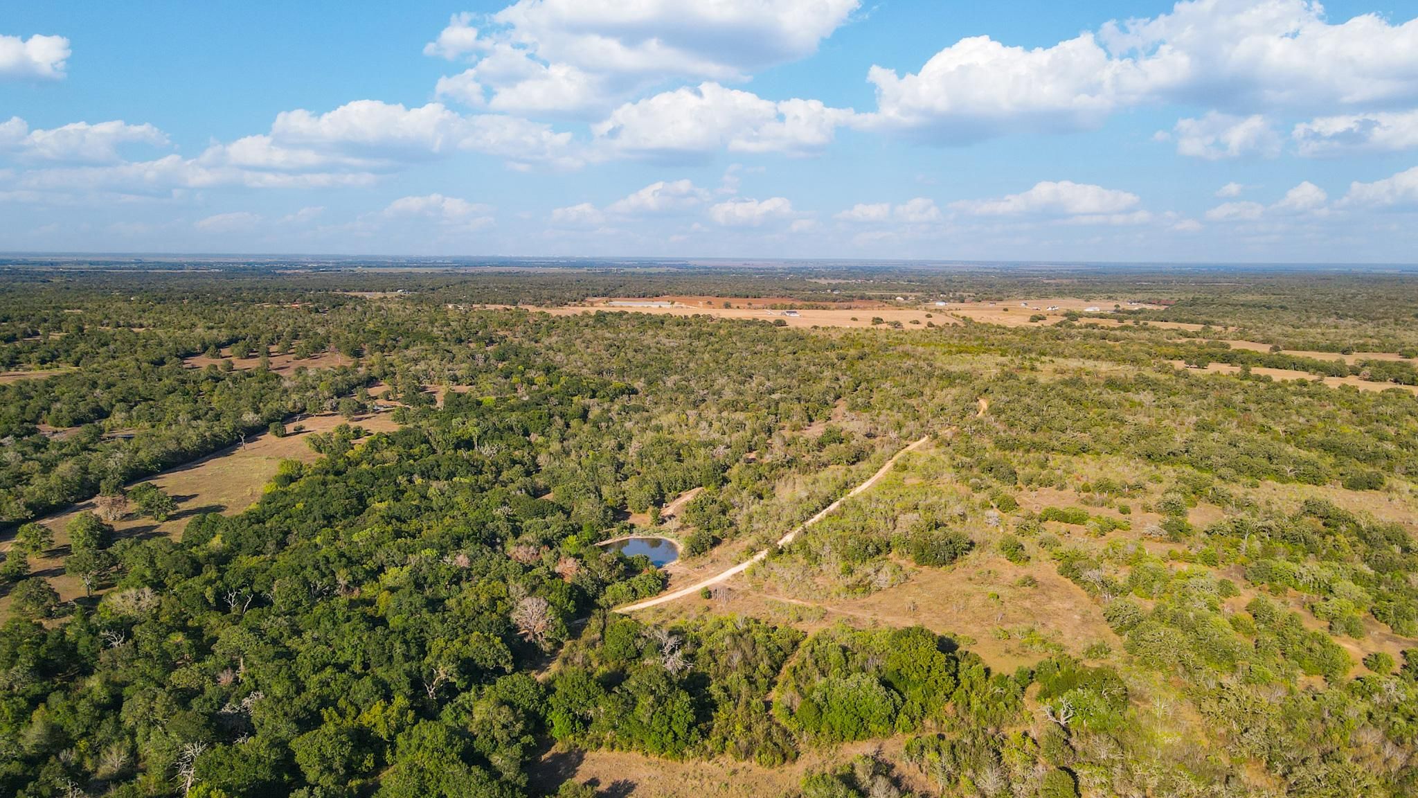 216.25 Acres, County Road 201, Snook, TX 77879 Land and Farm