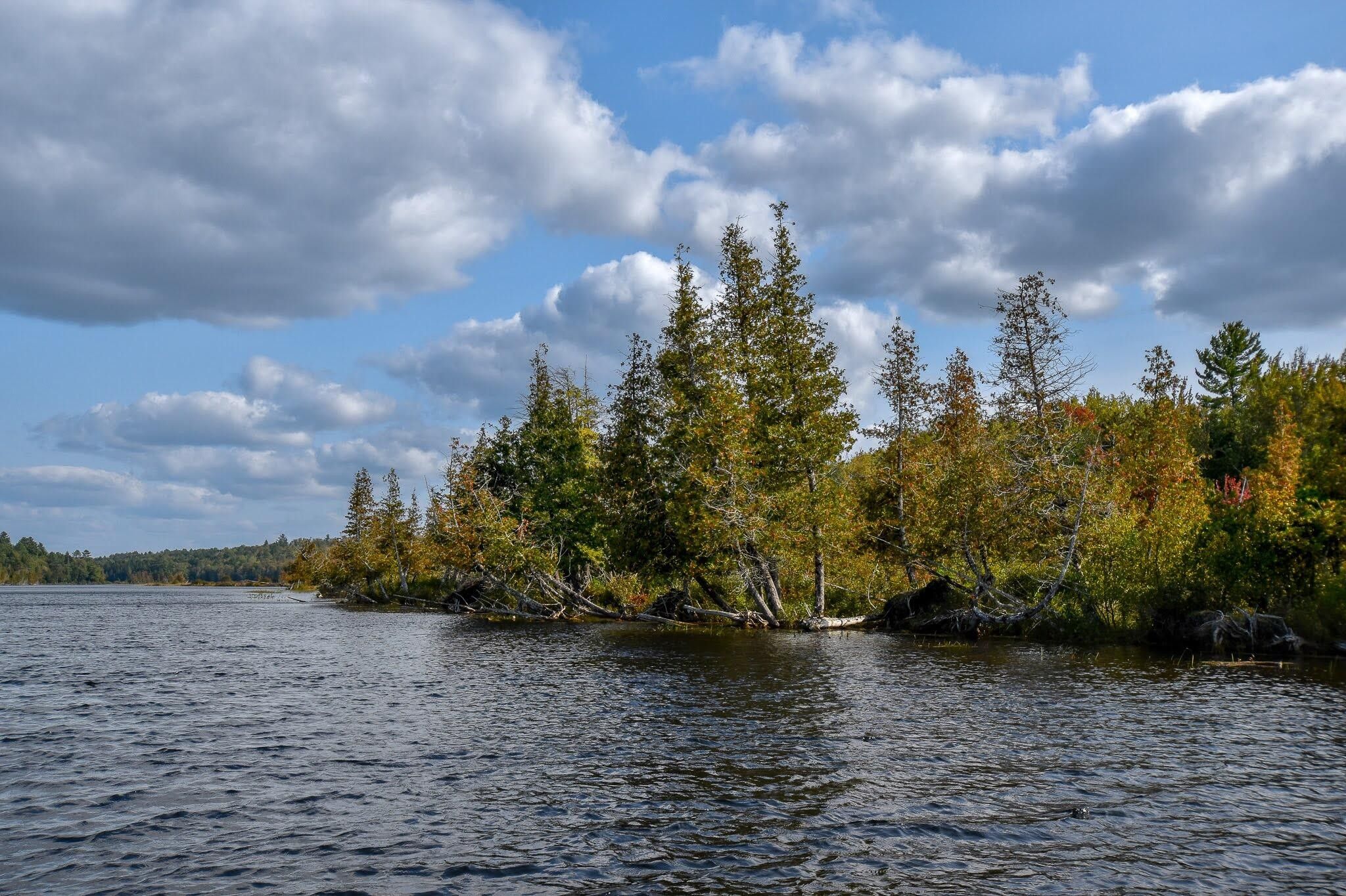 00 Carver Road, Milo, ME 04463 MLS 1574974 Land and Farm