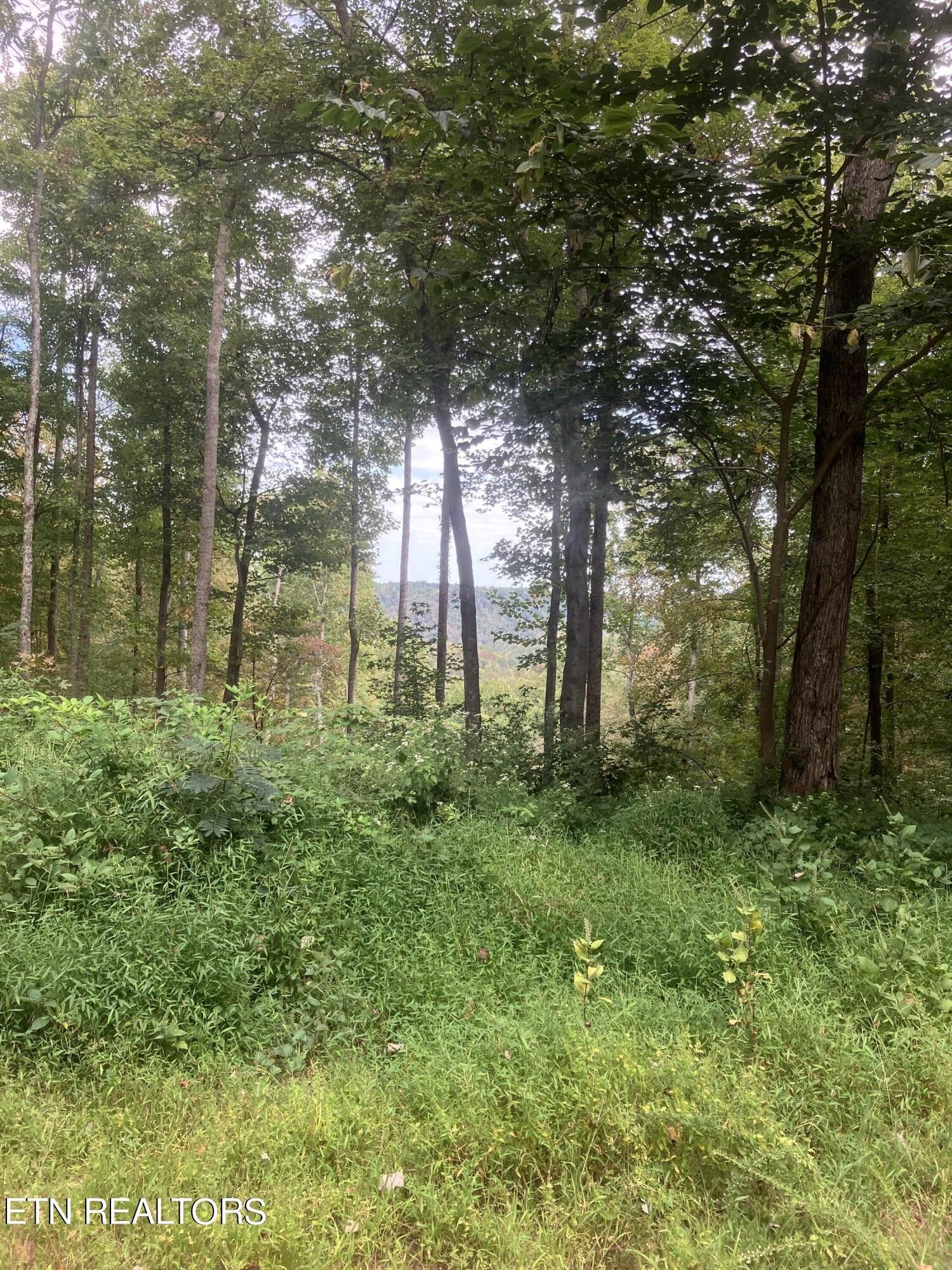 176 Acres, 2900 Bryant Ridge Road Rd, Baxter, TN 38544 Land and Farm