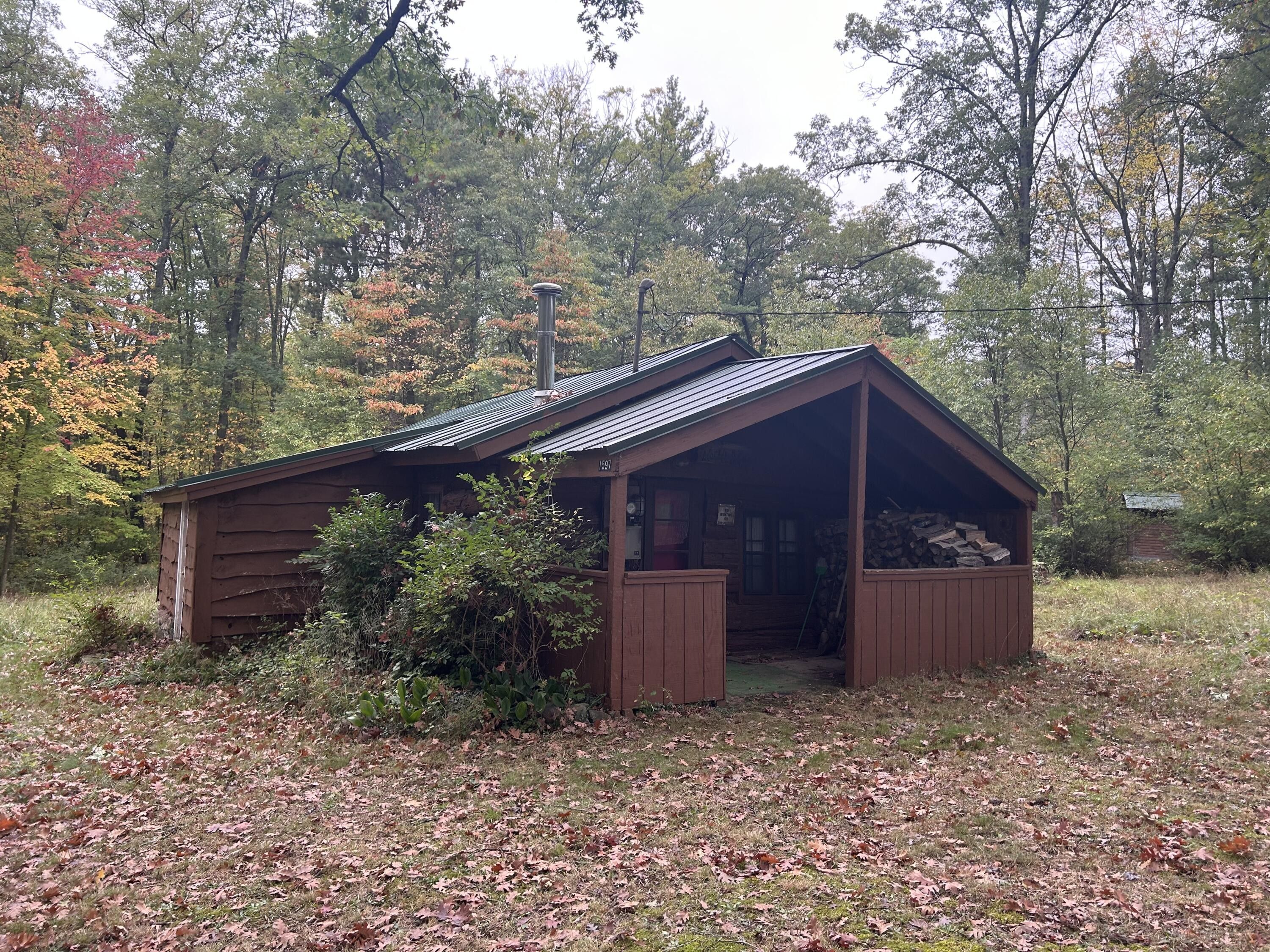 4.86 Acres, 1597 W Woodland Park Drive, Bitely, MI 49309 Land and Farm