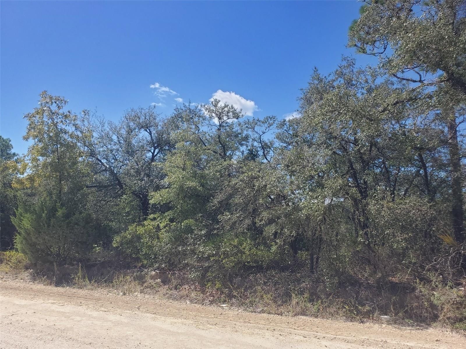 0.25 Acres, 00 NE 119TH TERRACE, Williston, FL 32696 Land and Farm