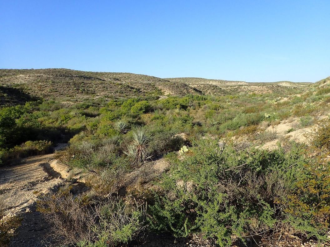 2,400.06 acres in Sanderson, TX, 79848 Land and Farm