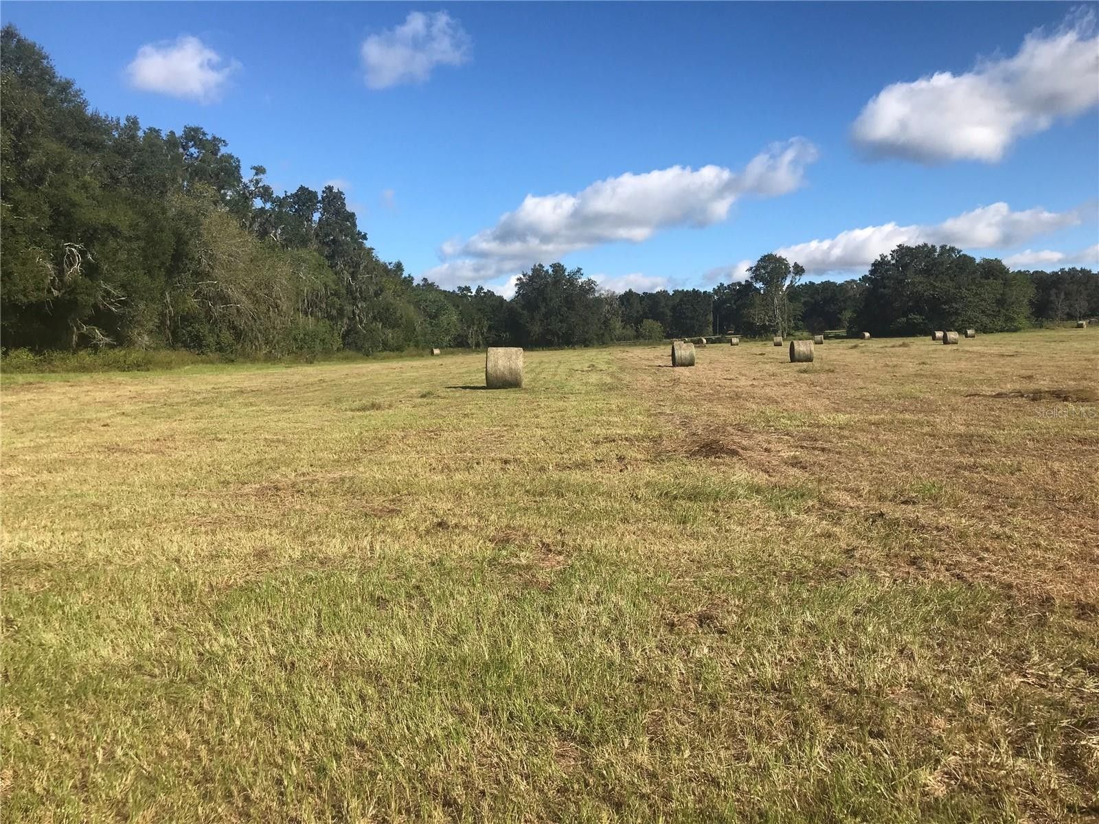 10.25 Acres, Tbd NW 133RD LN, Reddick, FL 32686 Land and Farm