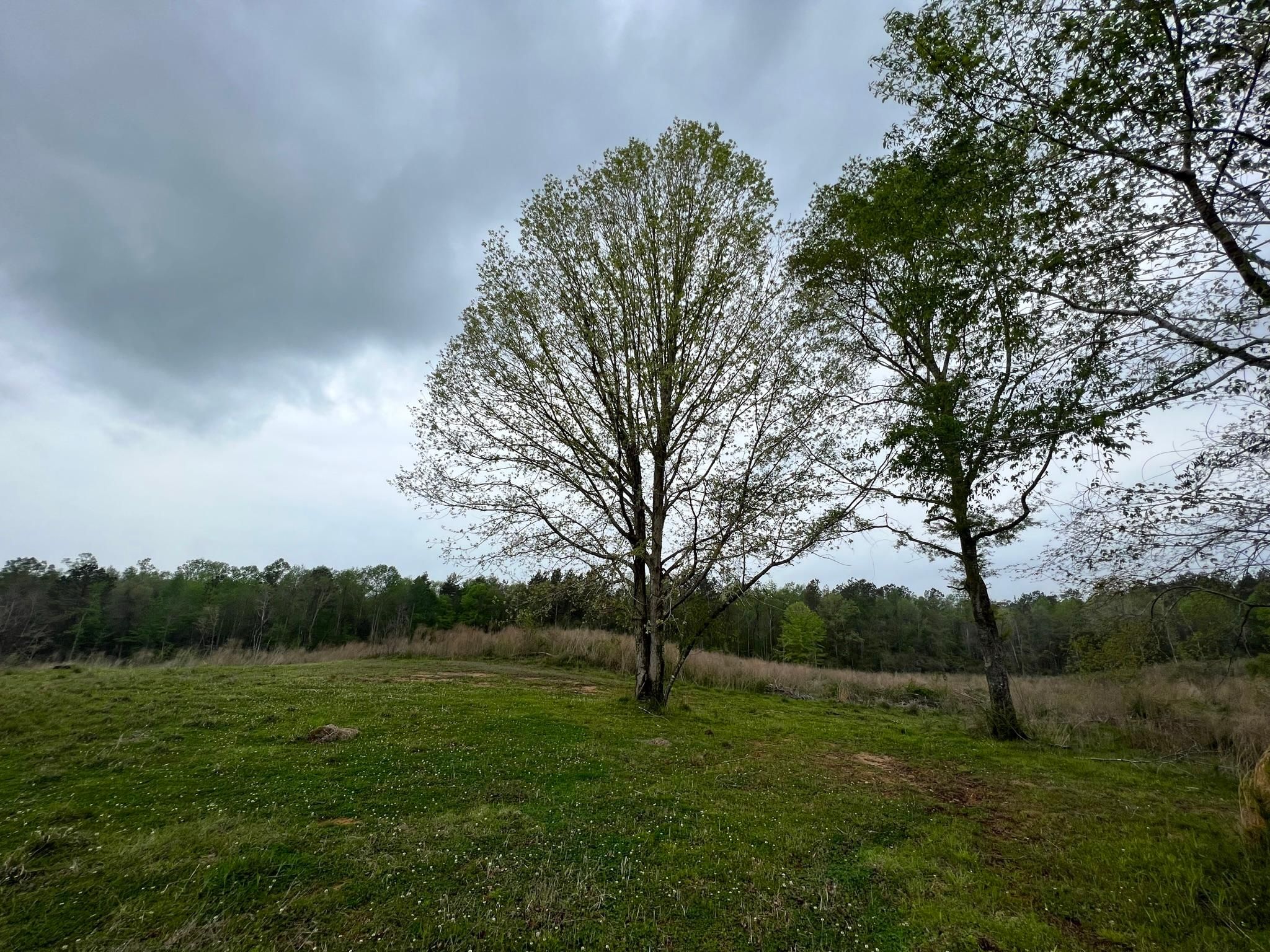 55 Acres, Tylertown, MS 39667 Land and Farm