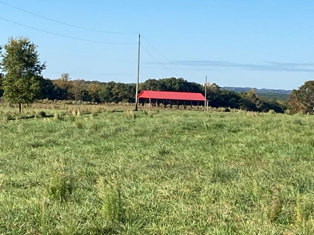 Mabe Road, Star, NC 27356 MLS 1116272 Land and Farm