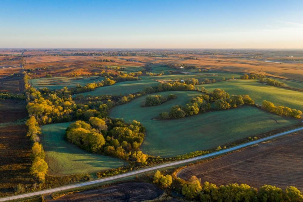 0000 250th Street, Kellerton, IA 50133 MLS Ringgold 80 Land and Farm