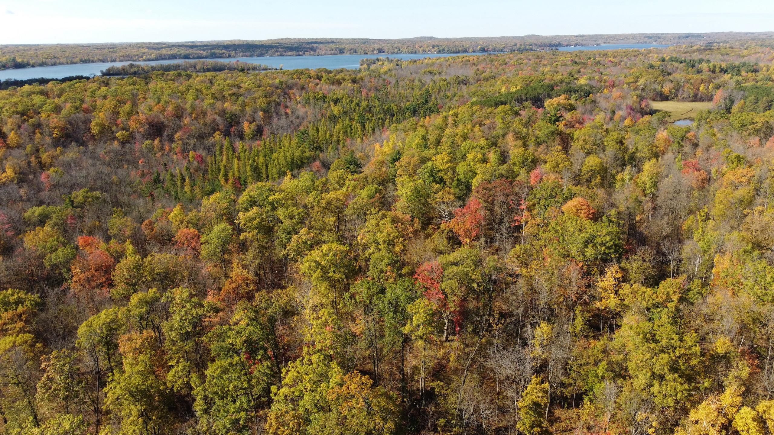 21.28 Acres, East Bone Lake Lane, WI 54537 Land and Farm