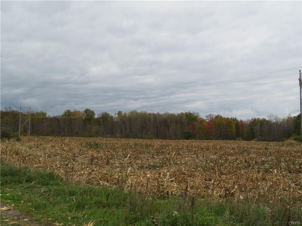 17 Acres, 999999 Coombs Road South, East Floyd, NY 13354 Land and Farm