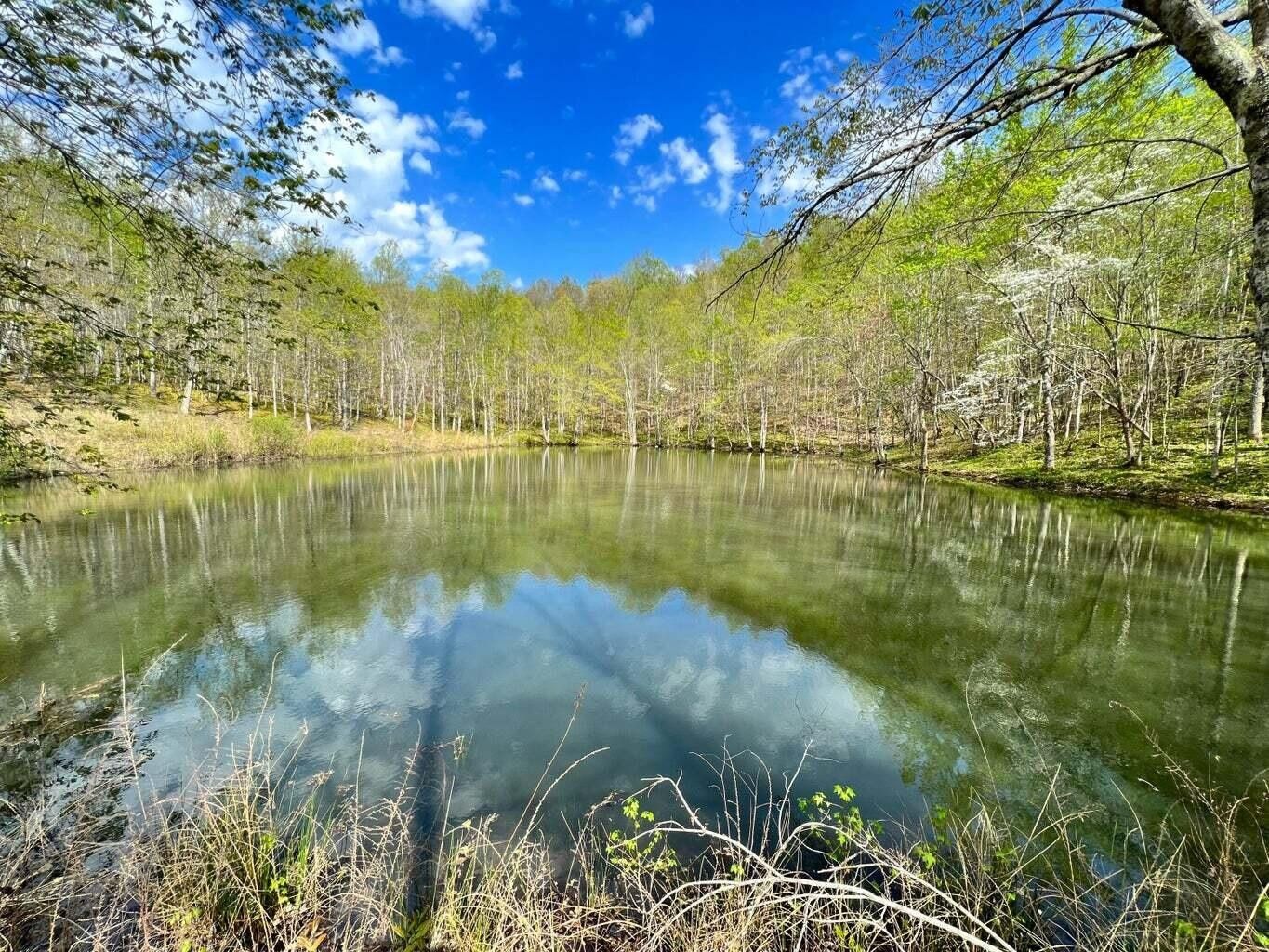 89.5 Acres, 9999 Portersburg Road, Manchester, KY 40962 Land and Farm