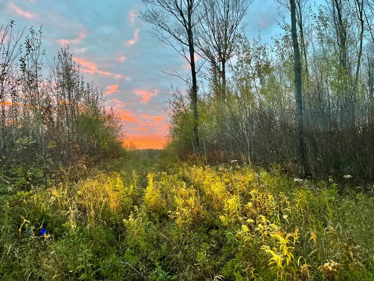 On MUSSER DR, Phillips, WI 54555 MLS 204352 Land and Farm