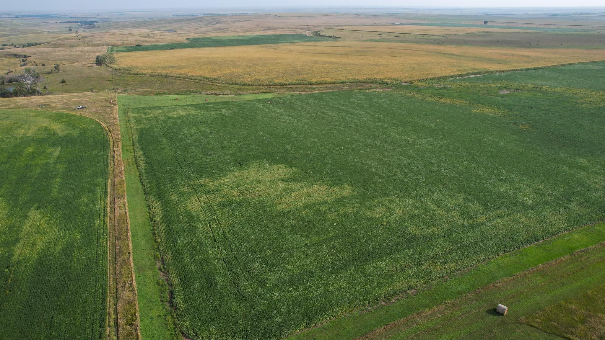 244.16 acres in Pukwana, SD, 57370 Land and Farm