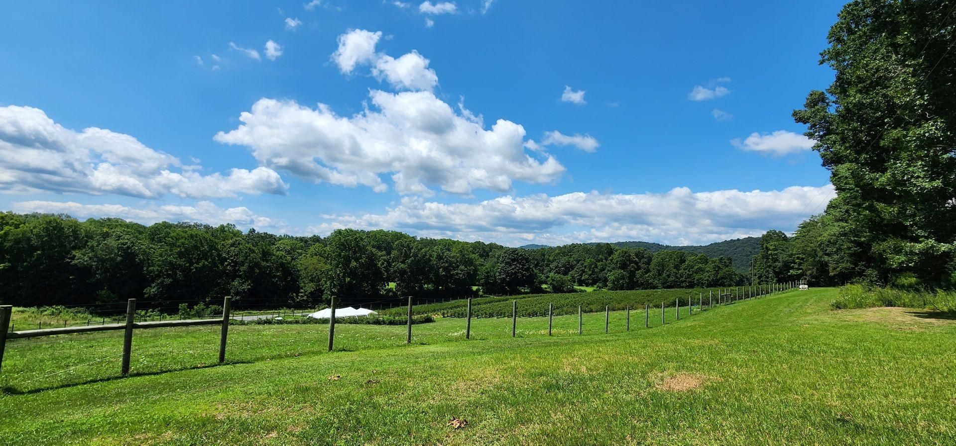 2801 Julia Road, Renick, WV 24966 Land and Farm