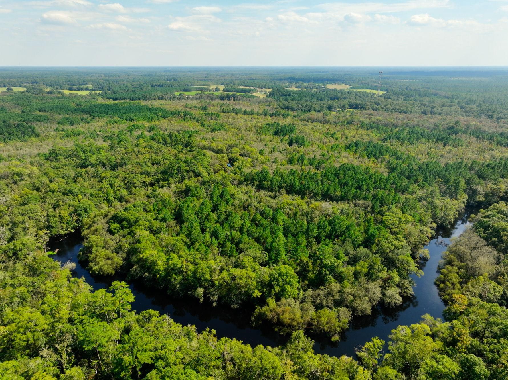 Woodrow Lane, Nahunta, GA 31553 MLS Satilla River Plantation Land