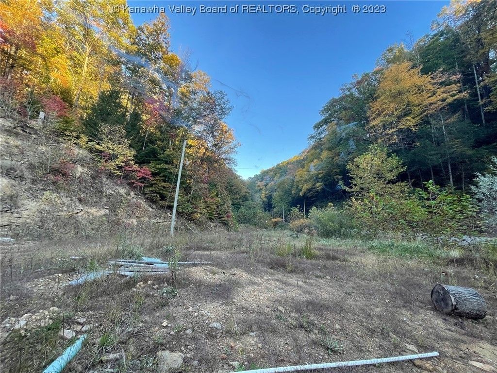 25 Acres, 904 Procious Maysel Road, Clay, WV 25043 Land and Farm