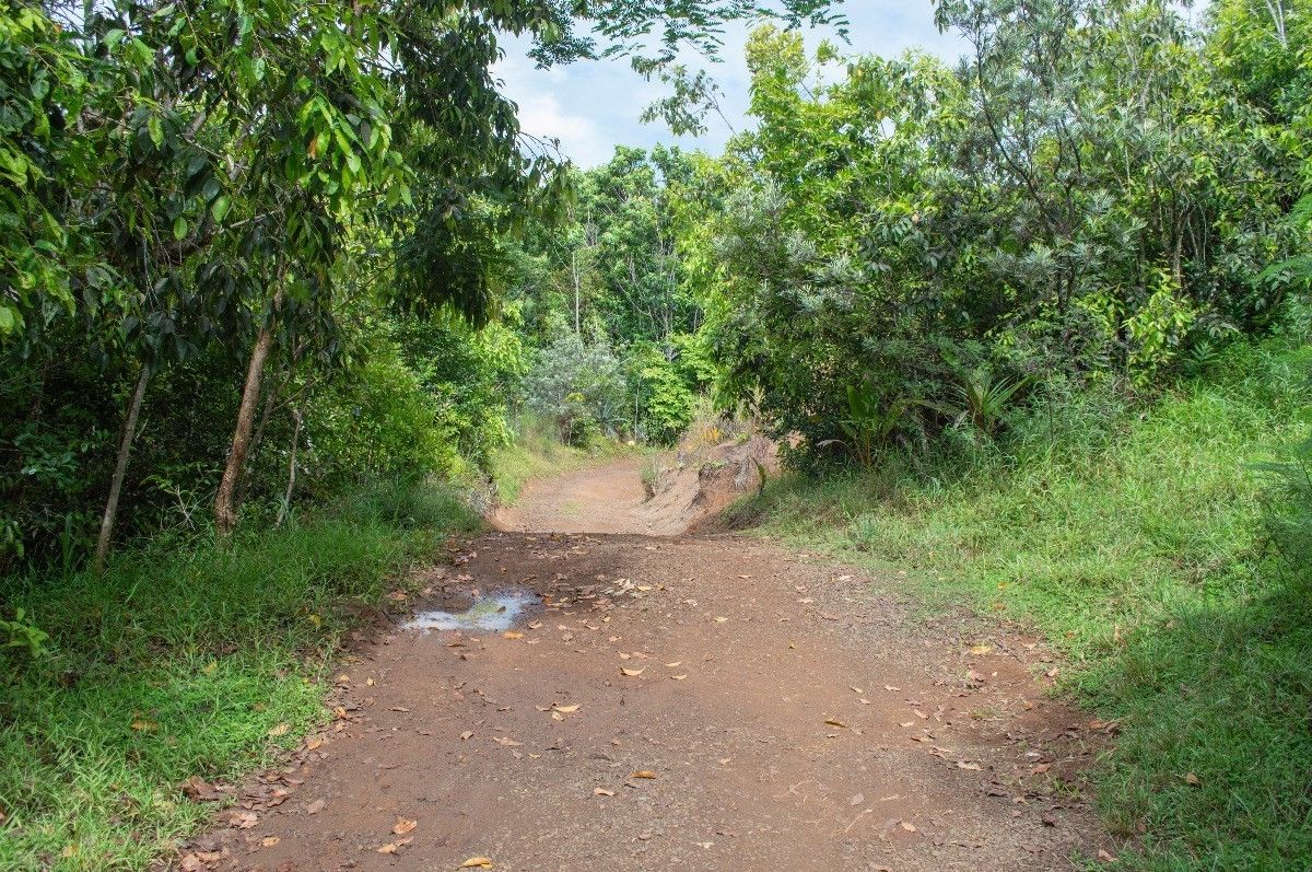 5.22 Acres, 6751R KOOLAU RD, Anahola, HI 96746 Land and Farm