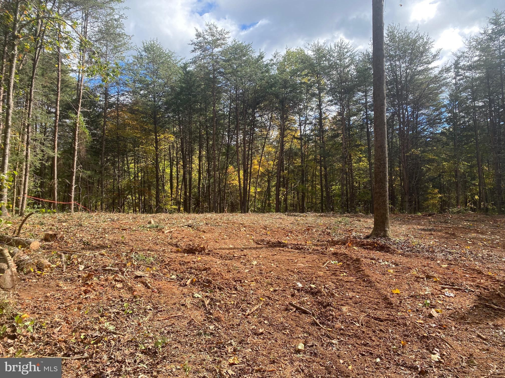 10.01 Acres, Residue JOHN JAMESON PLACE, Culpeper, VA 22701 Land and