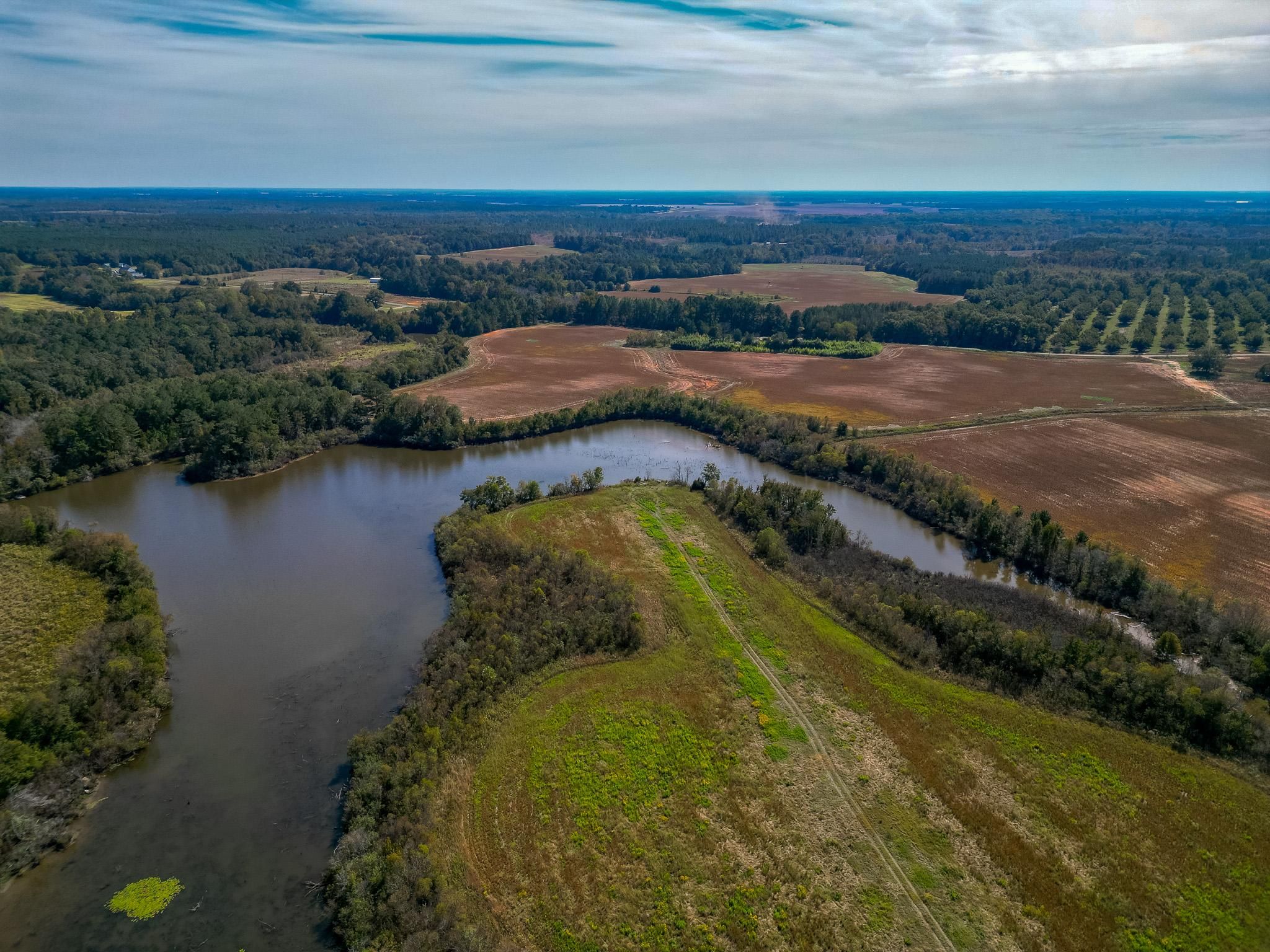 Poplar Springs Road, Byromville, GA 31007 Land and Farm